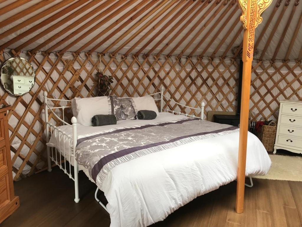 Buzzard Holt Hosting Hotel Buckingham Luaran gambar