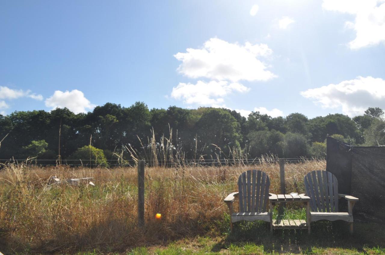 Buzzard Holt Hosting Hotel Buckingham Luaran gambar